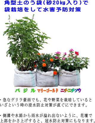 角型土のう袋　白ＰＥ 家庭菜園　袋栽培