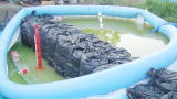 止水実験・止水状況・止水壁面からの浸水なし。