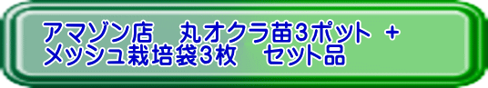 アマゾン店　丸オクラ苗3ポット ＋ メッシュ栽培袋3枚　セット品