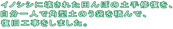 イノシシに壊された田んぼの土手修復を、 自分一人で角型土のう袋を積んで、 復旧工事をしました。