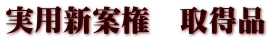 実用新案権　取得品