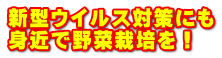 新型ウイルス対策にも 身近で野菜栽培を！