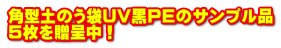 p^ŷUVPẼTvi 5𑡒撆I